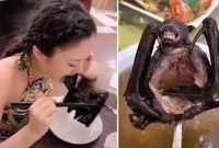 BAGI masyarakat yang menyukai makanan unik, seperti menyantap sop hewan liar seperti daging kelelawar, harus hati-hati. Sebab dampak yang ditimbulkan bisa mematikan kita.