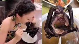 BAGI masyarakat yang menyukai makanan unik, seperti menyantap sop hewan liar seperti daging kelelawar, harus hati-hati. Sebab dampak yang ditimbulkan bisa mematikan kita.