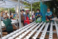 Peduli Lingkungan, PLN UIWS2JB Ubah Parit Jadi Hidroponik