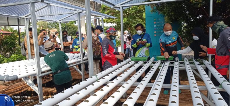 Peduli Lingkungan, PLN UIWS2JB Ubah Parit Jadi Hidroponik