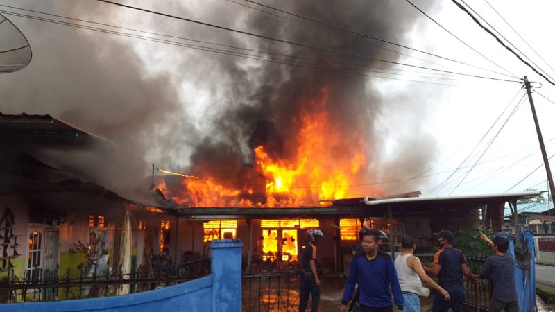 Si Jago Merah Mengamuk di Puncak Kemuning Lubuklinggau