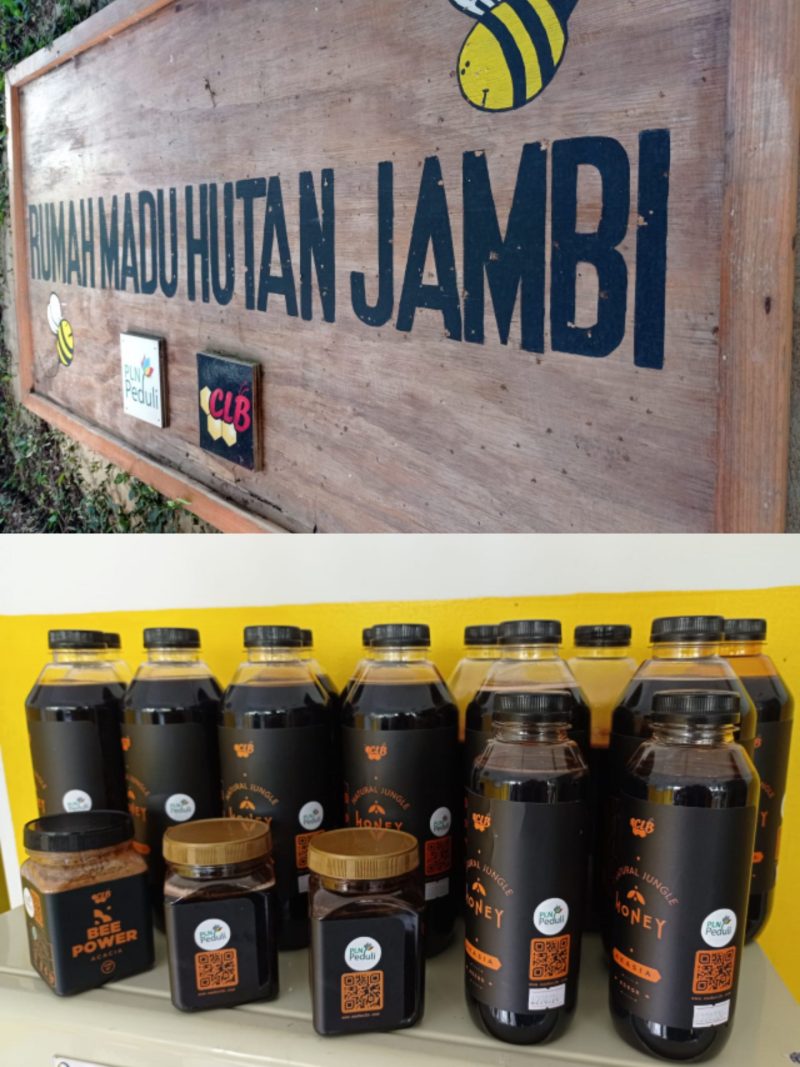 Rumah Madu Hutan Jambi, salah satu usaha mikro, kecil dan menengah (UMKM) mitra binaan PLN yang berada di Kota Jambi terus berkembang.