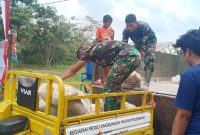 Angkut Material Bangunan MCK, Anak Anak Sungai Jawi Bantu Satgas TMMD