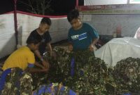 Anak Anak Kampung Jawi Bantu Satgas TMMD Jemur Jaring Samaran