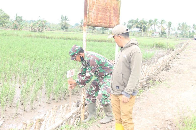 Satgas TMMD ke 110 Kodim 0418 melakukan pemasangan patok batas jalan, Sabtu (6/3/2021) pagi.
