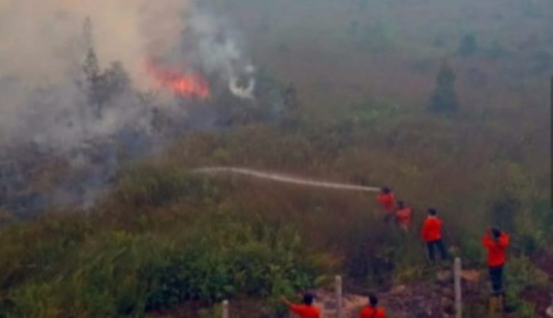 Petugas tengah memadamkan api, photo Humas Polda Sumsel.