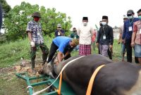 Saat meninjau proses pemotongan hewan kurban di Masjid Al Falah Talang Gading Kecamatan Kalidoni, Gubernur Sumsel H Herman Deru berkesempatan memberi nama alat potong sapi Al-Ikhlas.