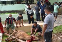 Suasana penyembelihan hewan kurban di lingkungan Korem 044/GAPO, Selasa (20/7)