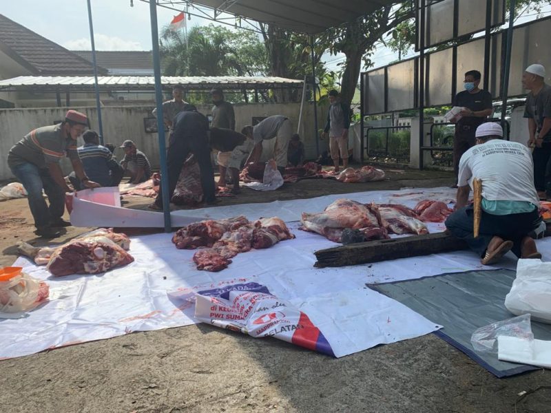 Suasana pemotongan hewan kurban di halaman sekretariat PWI Sumsel, Rabu (21/7)