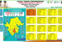 Situasi terkini perkembangan kasus COVID-19 di Musi Banyuasin