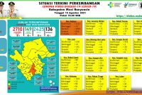 Situasi terkini perkembangan COVID-19 Musi Banyuasin