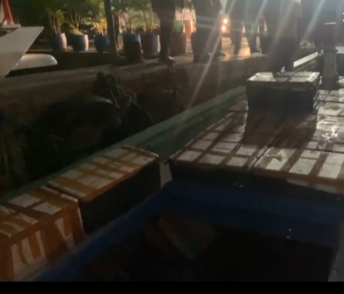 Benih Lobster Senilai Rp11 Milyar Dilepas di Pulau Kubur (Photo: Kiki ND) 