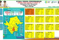 Situasi perkembangan COVID1-9 di wilayah Musi Banyuasin