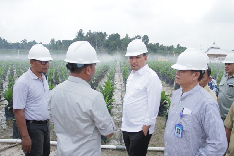 Plt Bupati Muba Beni Hernedi SIP