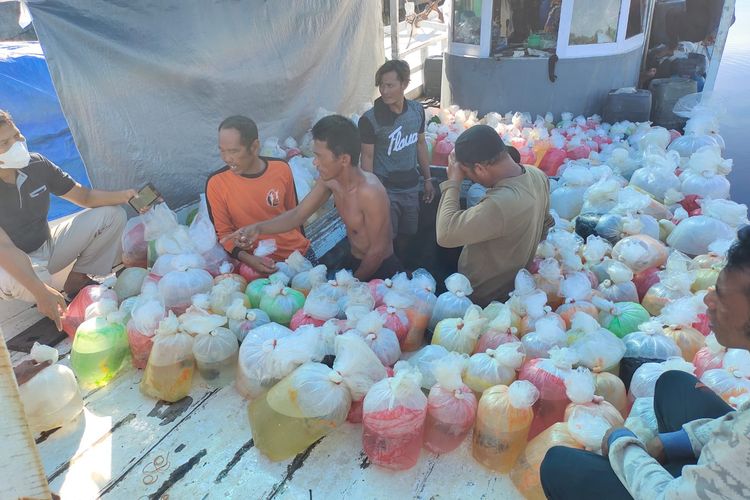 Dit Polairud Polda Kalimantan Timur mengamankan nelayan yang diduga menangkap dan memiliki secara ilegal ikan hias dilingdungi menggunakan bahan kimia jenis potasium sianida