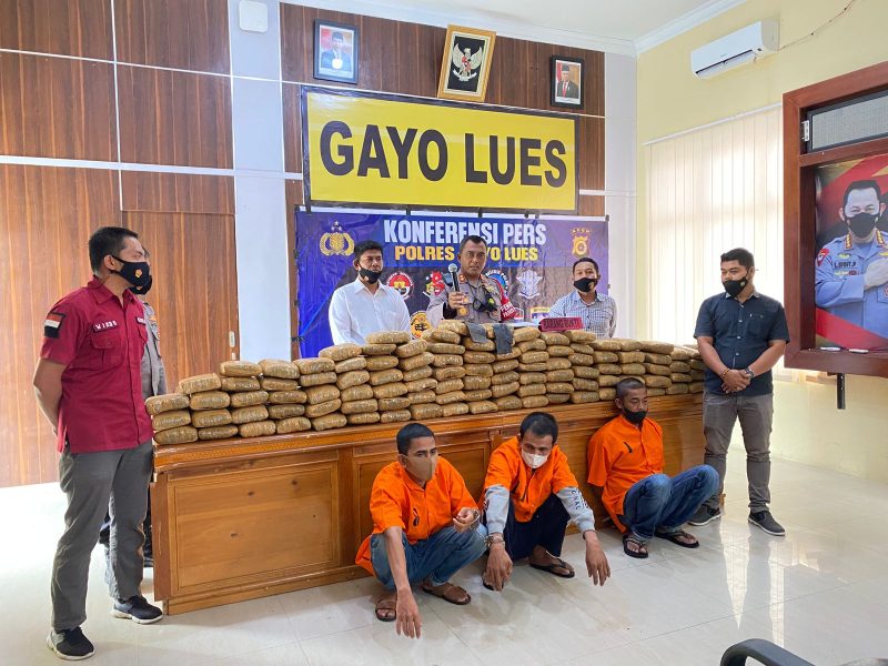 Polres Gayo Lues saat konferensi pers penangkapan tersangka penyelundupan 158 ganja kering