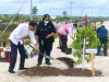 Pemulihan Lingkungan, Presiden Tanam Pohon di Area Bekas Tambang