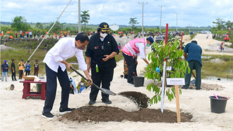 Presiden Joko Widodo melakukan penanaman pohon bersama masyarakat di salah satu daerah aliran sungai (DAS) di Kabupaten Sintang, Provinsi Kalimantan Barat, pada Rabu, 8 Desember 2021. Foto: BPMI Setpres