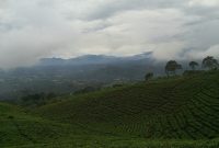 Area sekitar Gunung Dempo di Pagar Alam