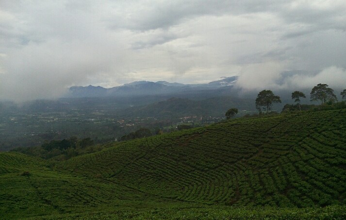 Area sekitar Gunung Dempo di Pagar Alam