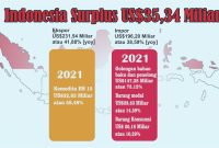 Tertinggi, Indonesia Surplus US$35,34 Miliar | Wideazone