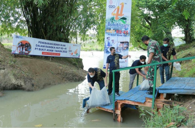 Semarak Hari Jadi PTBA 41: 16 Ribu Benih Ikan Ditebar