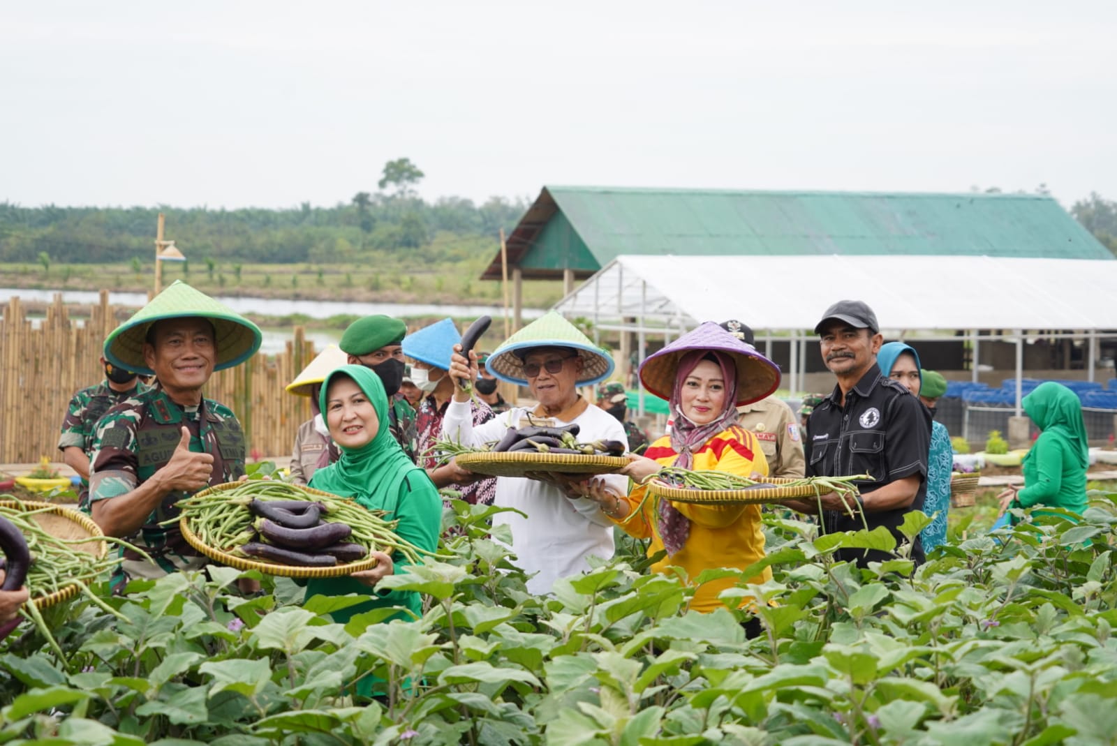 Panen perdana di komplek edukasi Wisata Agriekoteknologi Korem 044/Gapo, Desa Gelebak Dalam, Kecamatan Rambutan Kabupaten Banyuasin, Kamis [10/2/2022].