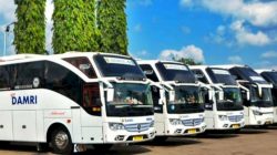 ini Tarif Bus Damri Palembang untuk Berbagai Rute