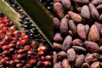 Sawit dan Biji Kakao