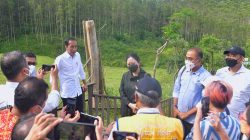 Presiden Jokowi bersama Ketua DPR Puan Maharani serta sejumlah pemred dan pejabat meninjau Kawasan IKN, di Penajam Paser Utara, Kaltim, Rabu (22/06/2022)