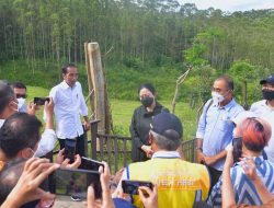 Presiden Jokowi Optimistis Pembangunan IKN Berjalan Lancar
