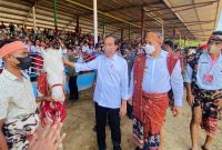 Usai mengunjungi pabrik sorgum, Kamis (02/06/2022), Presiden Jokowi dan Ibu Iriana Joko Widodo menyaksikan ekshibisi balap pacuan kuda.