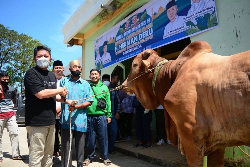 Gubernur Sumsel H Herman Deru secara simbolis menyerahkan beberapa ekor sapi yang akan dijadikan kurban di sejumlah masjid dalam Kota Palembang, Sabtu (9/7/2022)