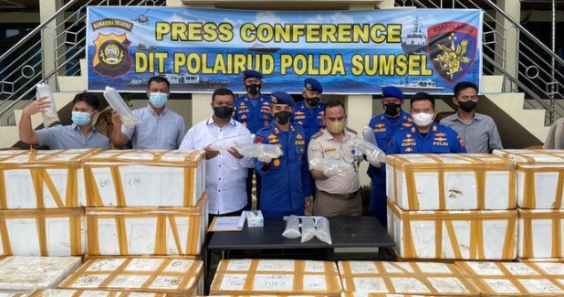 Polda Sumsel menggagalkan penyelundupan benih lobster senilai Rp 27 M