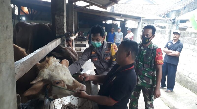 Polres Lampung Tengah dan Polsek jajaran terus melakukan pendampingan serta pengawasan terkait penanganan PMK di Kp. Gunung Sugih Raya