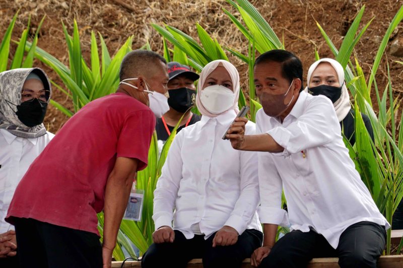 Presiden Jokowi saat berdialog dengan warga usai meninjau penanaman kelapa genjah di Desa Sanggang, Kecamatan Bulu, Kabupaten Sukoharjo, Provinsi Jawa Tengah, Kamis (11/08/2022)