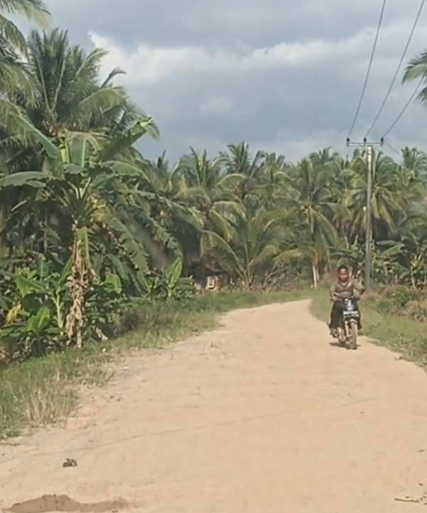 Kondisi jalan Desa Telok Payo