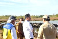 Presiden Jokowi meninjau dan bertemu dengan peternak kerbau di Desa Werwaru, Pulau Moa, Kabupaten Maluku Barat Daya, Kamis (15/09/2022)