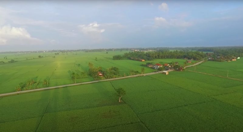 Pemerintah terus mendorong pengembangan lumbung pangan atau food estate di berbagai daerah di tanah air