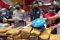 Tim Narkoba Polrestabes Medan memusnakan barang bukti sebanyak 84,694 gram ganja kering siap edar