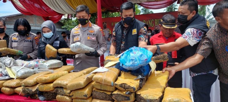 Tim Narkoba Polrestabes Medan memusnakan barang bukti sebanyak 84,694 gram ganja kering siap edar