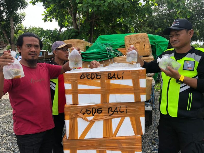 Polres Bima Kota menggagalkan penyelundupan terumbu karang ilegal 