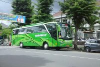 Ilustrasi Bus Pariwisata Pandawa (Foto: Wikipedia)