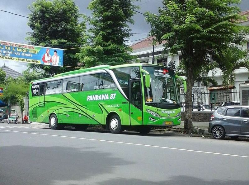 Ilustrasi Bus Pariwisata Pandawa (Foto: Wikipedia)