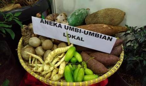 Aneka pangan lokal. (Foto: dok. Kementan)