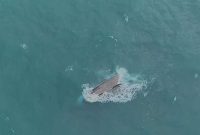 Basarnas melalui pencarian dengan menggunakan helikopter berhasil menemukan objek kapal KM Rukun Jaya dalam keadaan terbalik di perairan Laut Jawa, Jumat (27/1/2023).