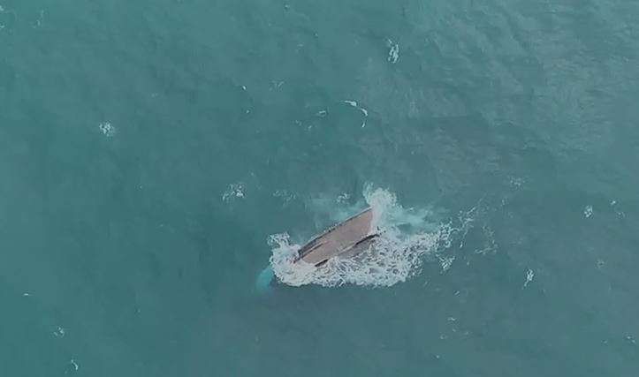 Basarnas melalui pencarian dengan menggunakan helikopter berhasil menemukan objek kapal KM Rukun Jaya dalam keadaan terbalik di perairan Laut Jawa, Jumat (27/1/2023).