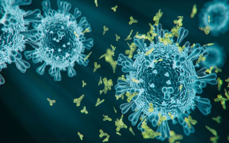Virus Covid varian Kraken