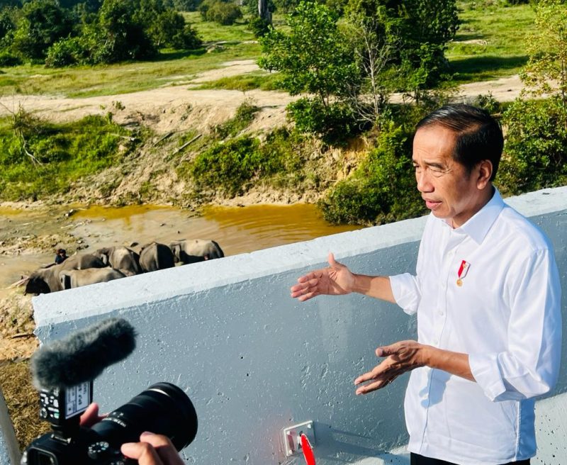 Presiden Joko Widodo setelah melihat perlintasan gajah di KM 12 ruas tol Pekanbaru-Dumai, pada Kamis,, Kamis (5/1/2023) (Foto: BPMI Setpres)