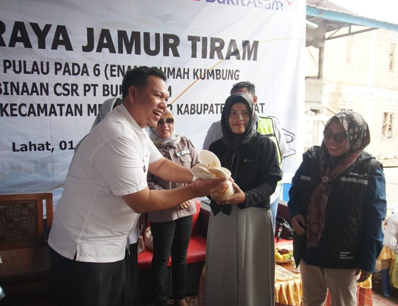 Ibu rumah tangga di Desa Sirah Pulau, Kecamatan Merapi Timur, Kabupaten Lahat, binaan CSR PT Bukit Asam Tbk saat panen raya jamur tiram, Rabu (1/2/2023)